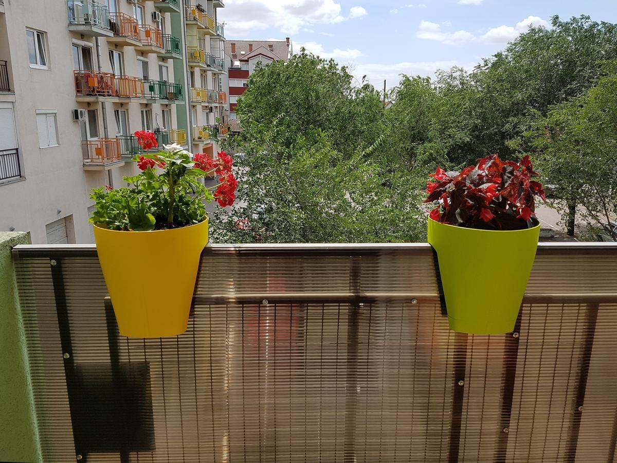 Apartman Boska 苏博蒂察 外观 照片